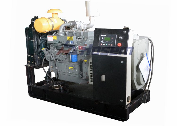 Generatore Diesel Ricardo con Alternatore Brushless Hosem